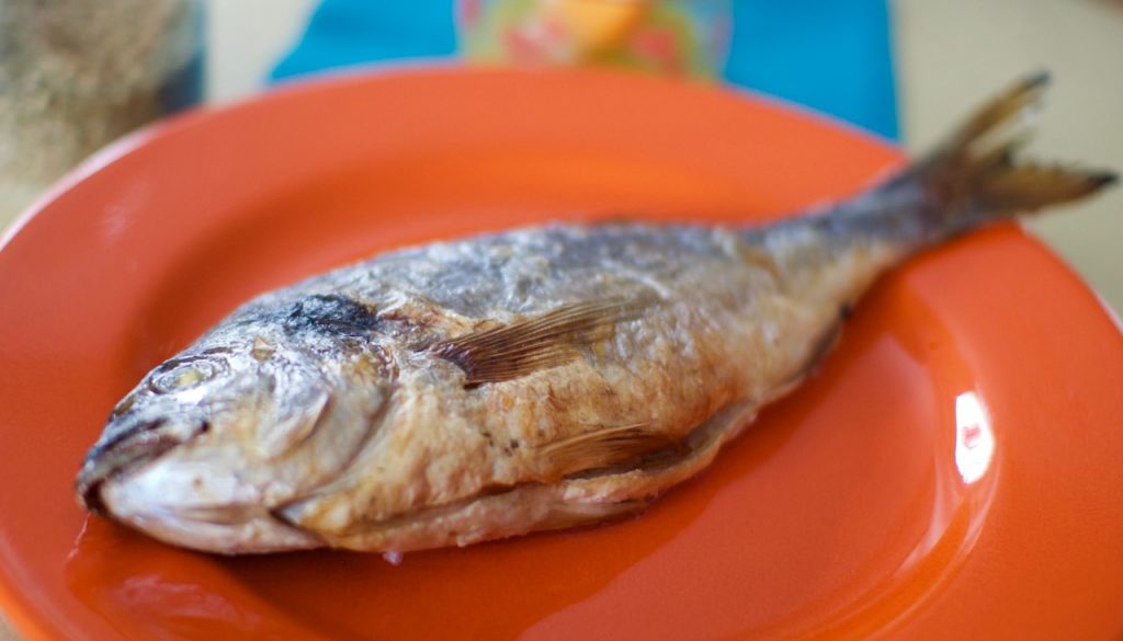 Fisch – Griechische Küche