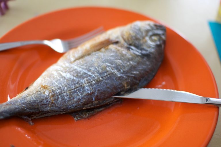Zarte Dorade mit Olivenöl-Zitronen Soße (Tsipoura ladolemono ...