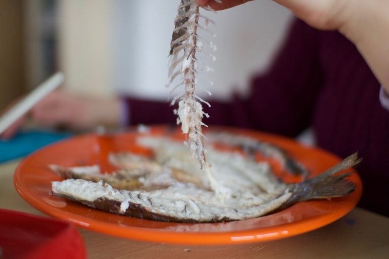 Zarte Dorade mit Olivenöl-Zitronen Soße (Tsipoura ladolemono ...